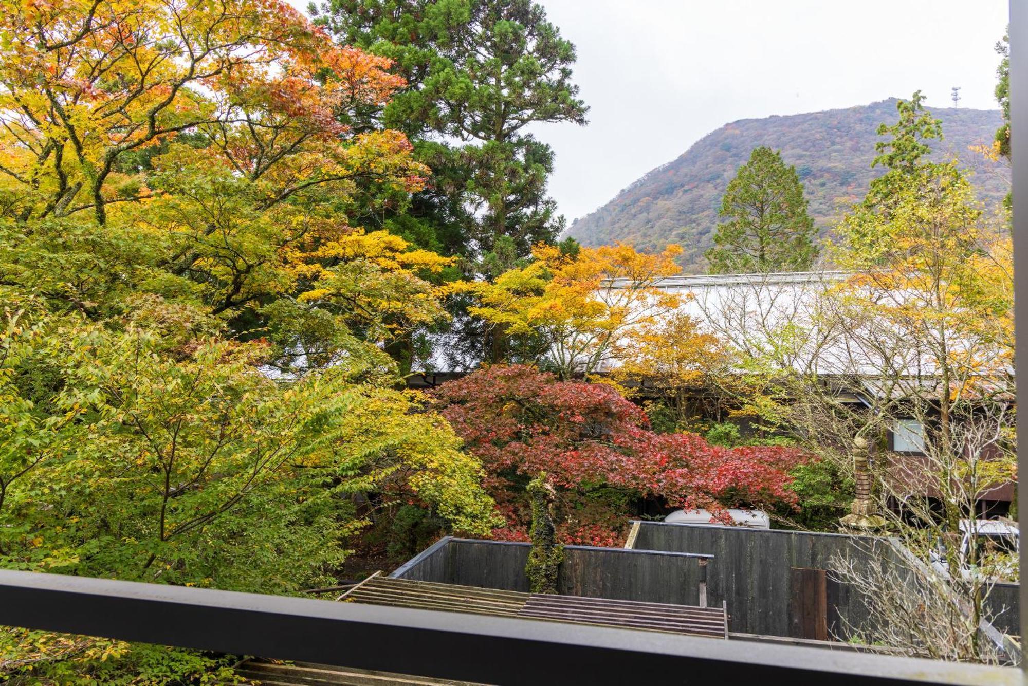 Matsuzakaya Honten Ryokan Hakone